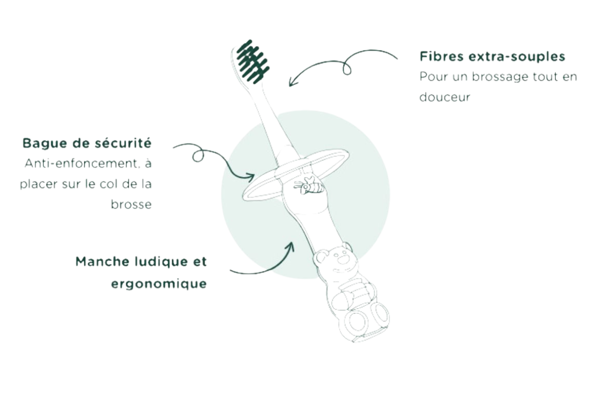 brosse à dent 5